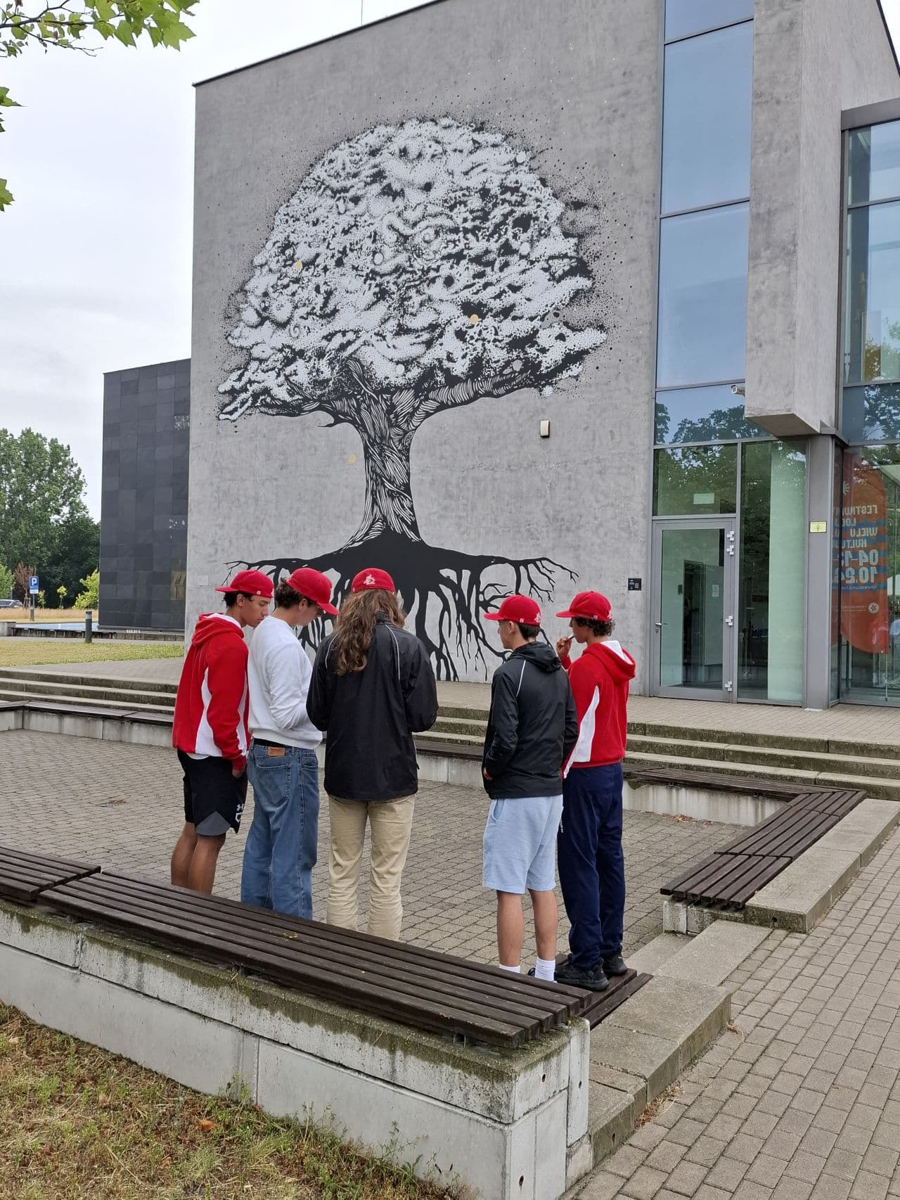 Swiss Baseball Federation - gra miejska w Łodzi, mural z drzewem